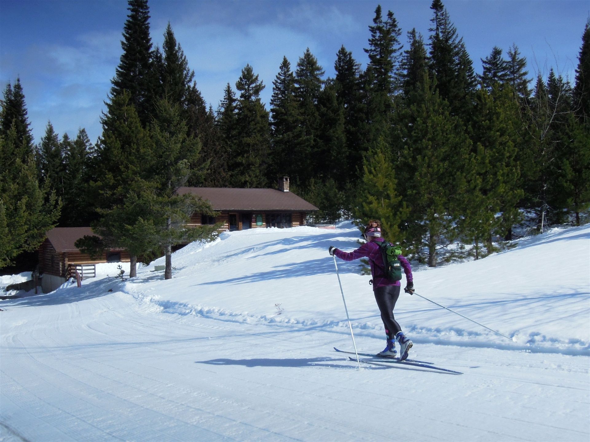 Cooper Spur in USA - a person skiing down a hill with trees in the background.
