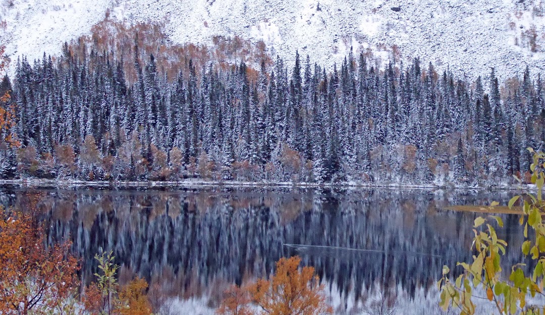 Stunning winter scenery in Bydalsfjällen, Northern Sweden; featuring a peaceful, frozen lake surrounded by snow-covered trees. A distant winter sports scene adds life to the tranquil setting.