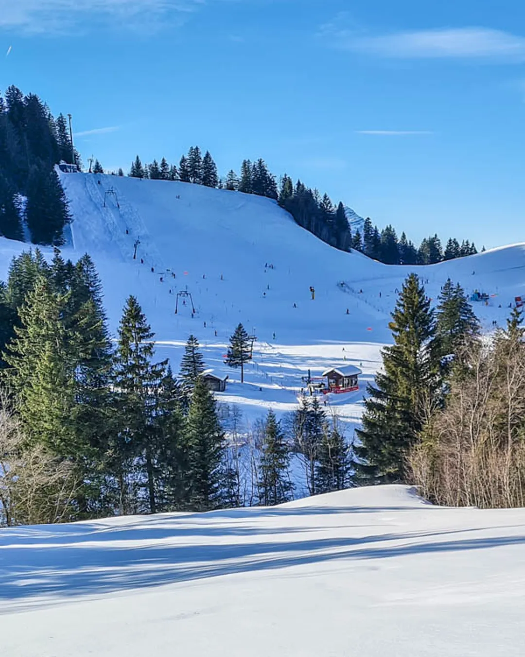 Sattel-Hochstuckli in Switzerland - a ski slope with trees and snow on it.