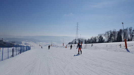 A bustling Polish ski resort at Dwie Doliny, with visitors enjoying winter sports amidst serene, snow-capped landscapes. A cozy chalet overlooks the scene, adding to the charm of Wierchomla Mała.