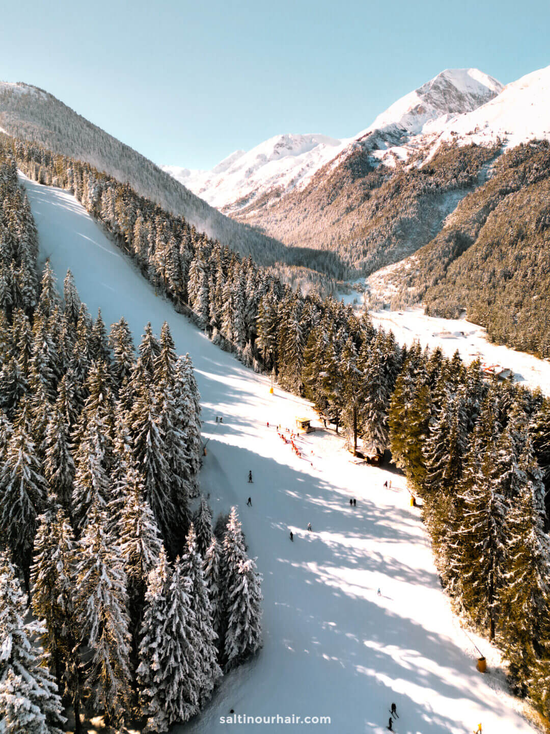 Bansko in Bulgaria - snow covered trees in the mountains.