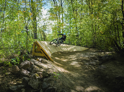 A biker embarking on a thrilling ride through the stunning green landscapes of Mont Rigaud in Quebec Canada. His journey is marked by a small challet nestled in the distance.