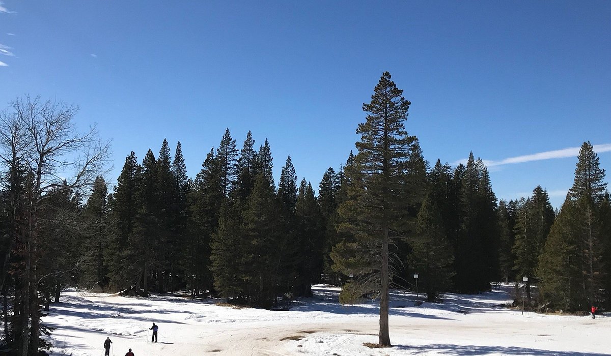 Soda Springs in USA - a person skiing down a snow covered slope.