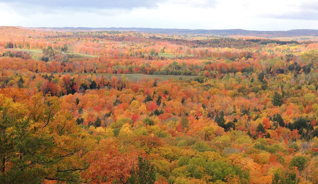 Scenic view of Marquette Mountain in Michigan with a chalet nestled amidst a dense forest, suggesting a vibrant winter sports scene at the local ski resort.