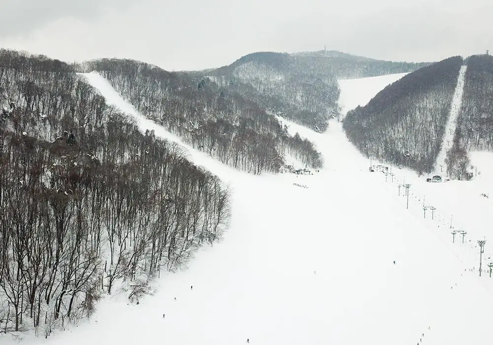 Winter sports enthusiasts enjoying the snowy slopes at Moiwayama Ski Jominamishamen in Kitanosawa, Minami Ward, Sapporo, Hokkaido, Japan. The breathtaking winter scenery blanketed by snow enhances the beauty of this popular ski resort.