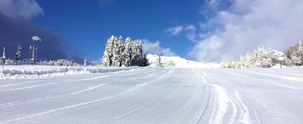 Winter sports enthusiasts enjoy the beautifully snowy Chateau Shiozawa ski resort, with a charming chalet nestled amongst the white landscape in Chūbu, Japan.