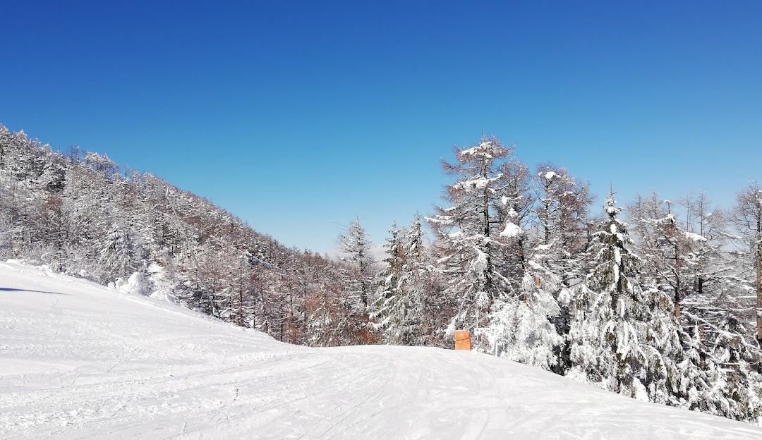 Winter view at Pine Beak, Sugadairakogen, with skiers descending the slopes of the ski resort. The landscape is blanketed in snow, framing a cozy chalet nestled amongst the wintry scenery.