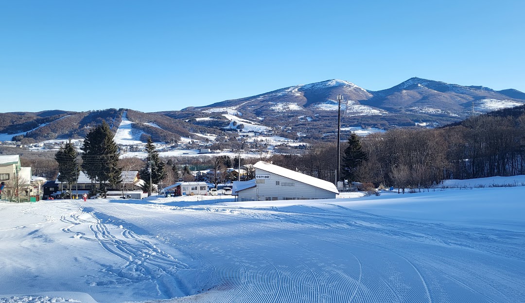 Scenic view of the Pine Beak ski resort in Sugadairakogen, Japan during winter, highlighted by skiers enjoying the well-groomed slopes amidst the stunning winter landscape.