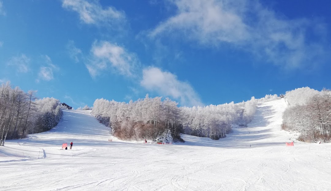 Stunning wintry scene at Pine Beak, Sugadairakogen, Japan featuring a popular ski resort amidst a beautiful snow-covered landscape, replete with winter sports activities.