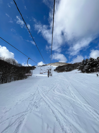 Skiers enjoy the slopes at Hiraniwa Kogen, a renowned ski resort in Honshu, Japan. The landscape is dominated by a ski lift crossing the snow-covered terrain, embodying a classic winter sports scene.