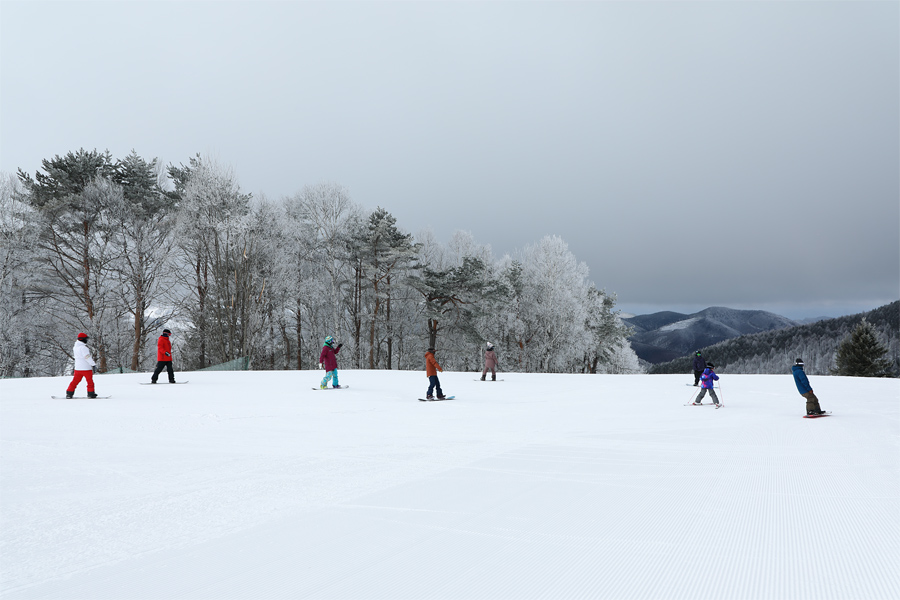 A vibrant winter sports scene at the Rewild Ninja Snow Highland in Japan, featuring numerous skiers enjoying the meticulously groomed slopes against an enchanting winter backdrop.