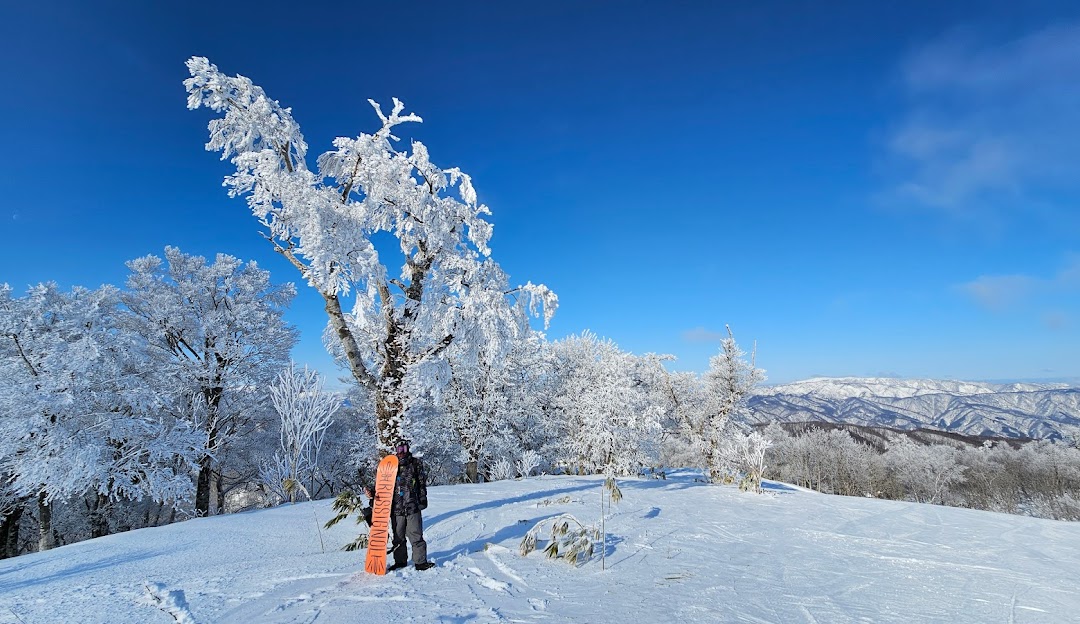 Charming winter landscape at Star Spur Ryokufu Resort in Japan, capturing a skier descending slopes amidst stunning snow-covered scenery. Represents the ideal winter sports scene.