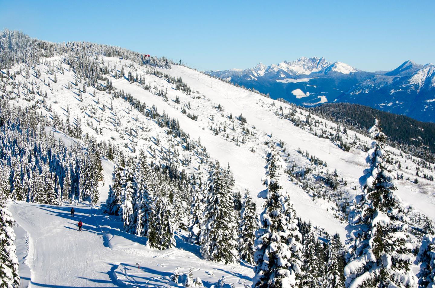 Sasquatch Mountain in Canada - a view from the top of a snowy mountain.