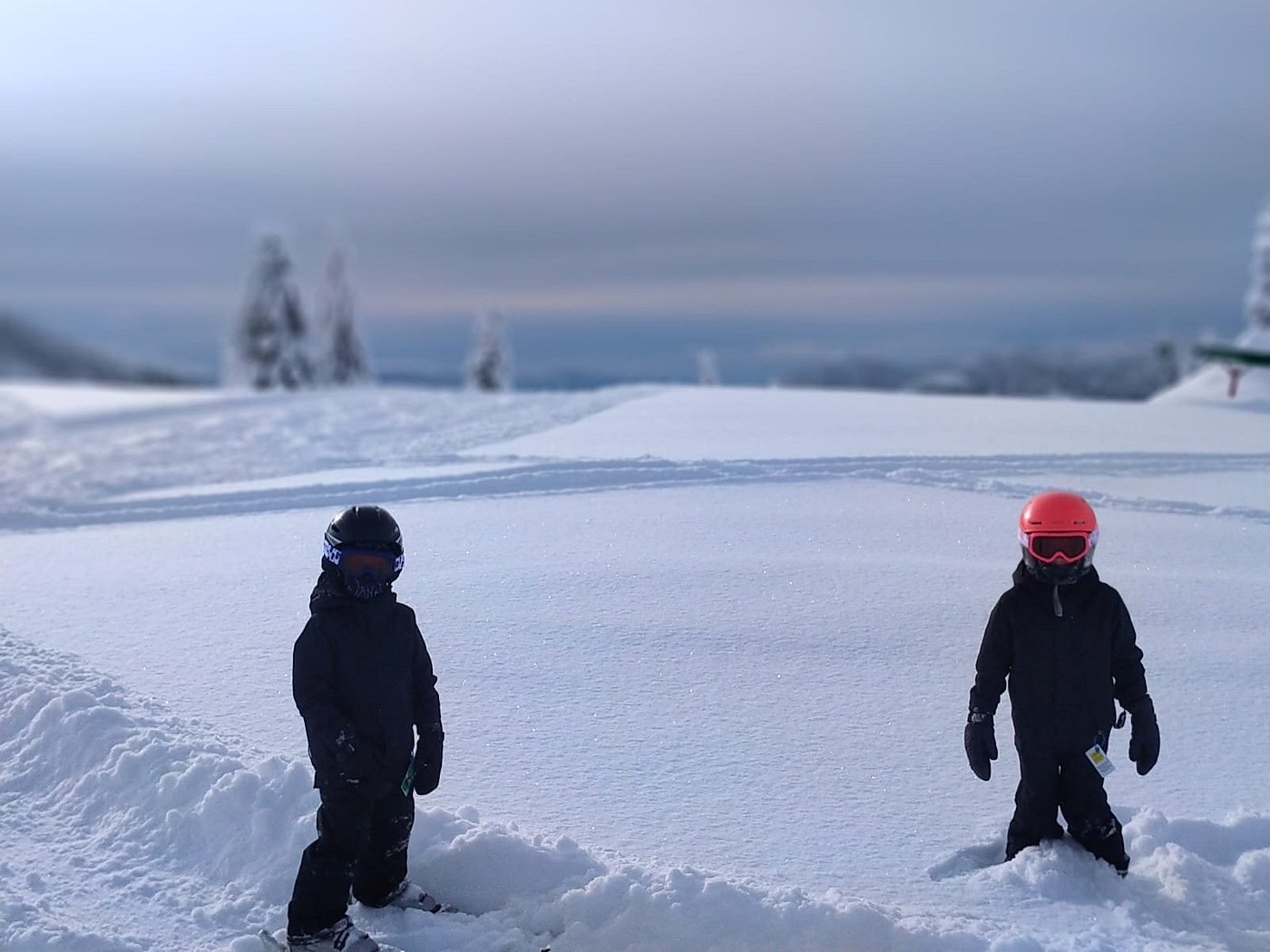 A serene winter scene at Sasquatch Mountain in Hemlock Valley showcasing Canada's rich winter sports culture. There's a bustling winter sports center a quaint chalet amidst pristine snow-covered scenery.