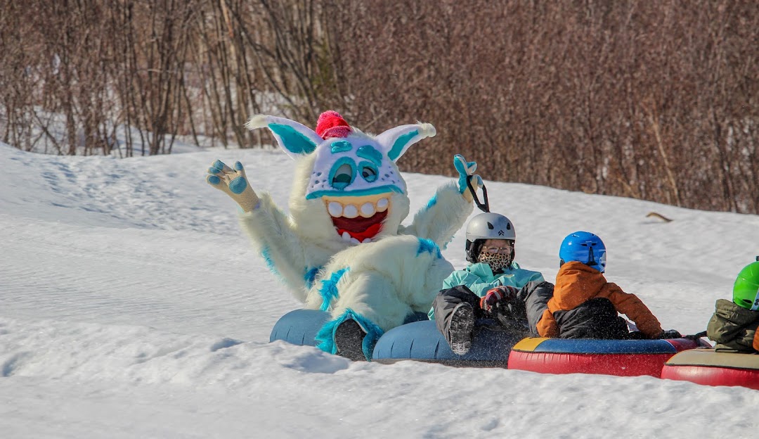 A snowboarder slicing through fresh powder on the scenic slopes of Mont Farlagne in Saint-Jacques, New Brunswick, Canada.