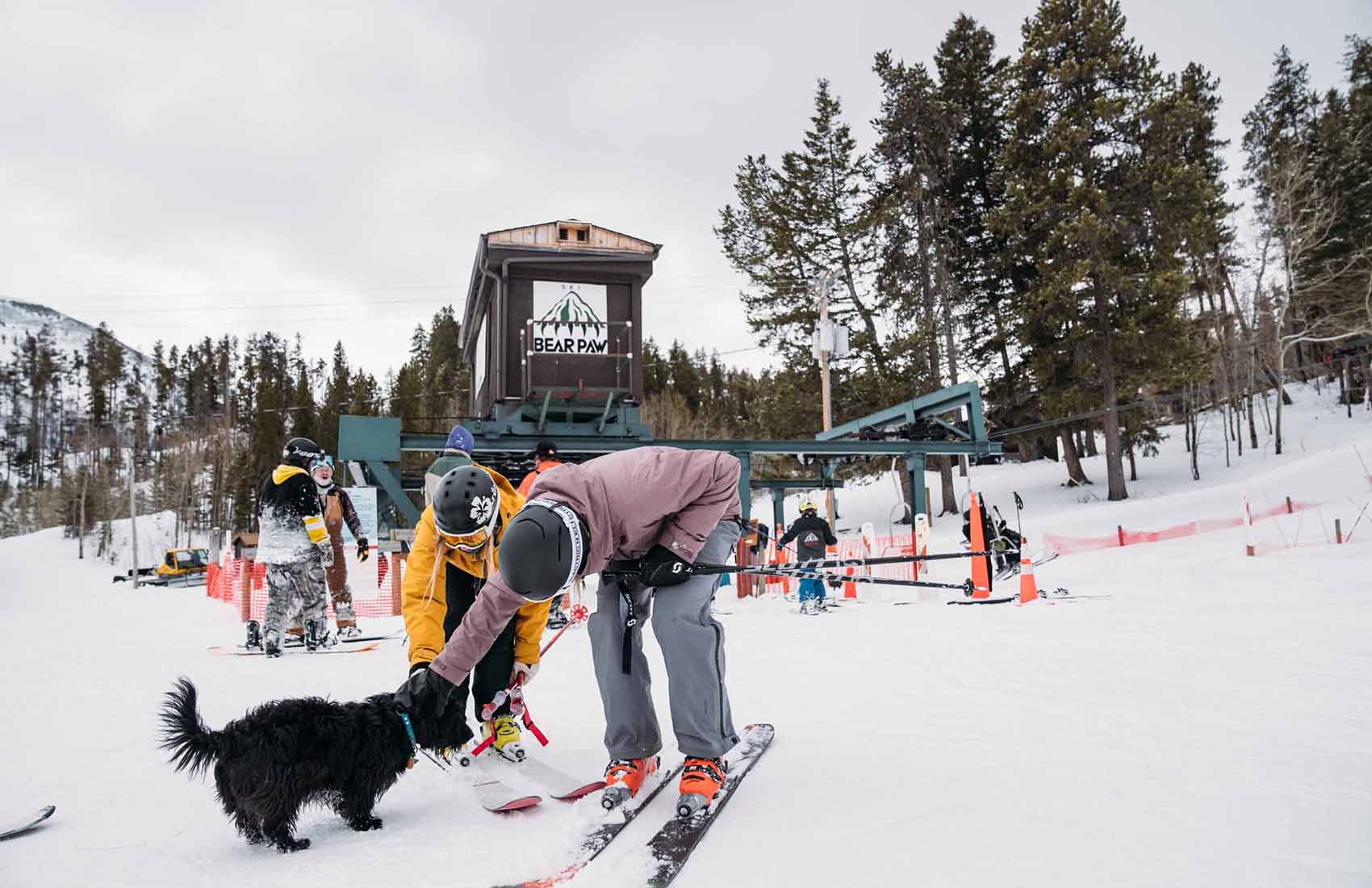 Bear Paw Ski Bowl in USA - a person on skis with a dog in the snow.