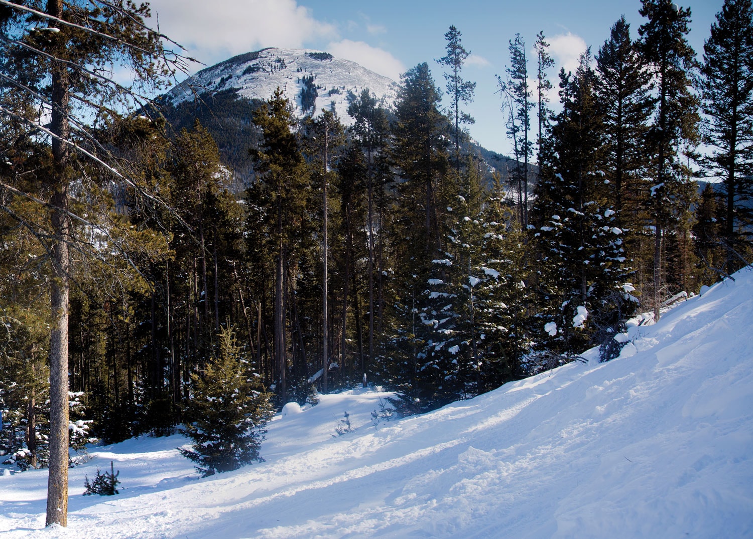 Winter sports enthusiasts enjoying a day on the snow-covered slopes of Bear Paw Ski Bowl in Box Elder, Montana, with a picturesque chalet nestled in the backdrop.