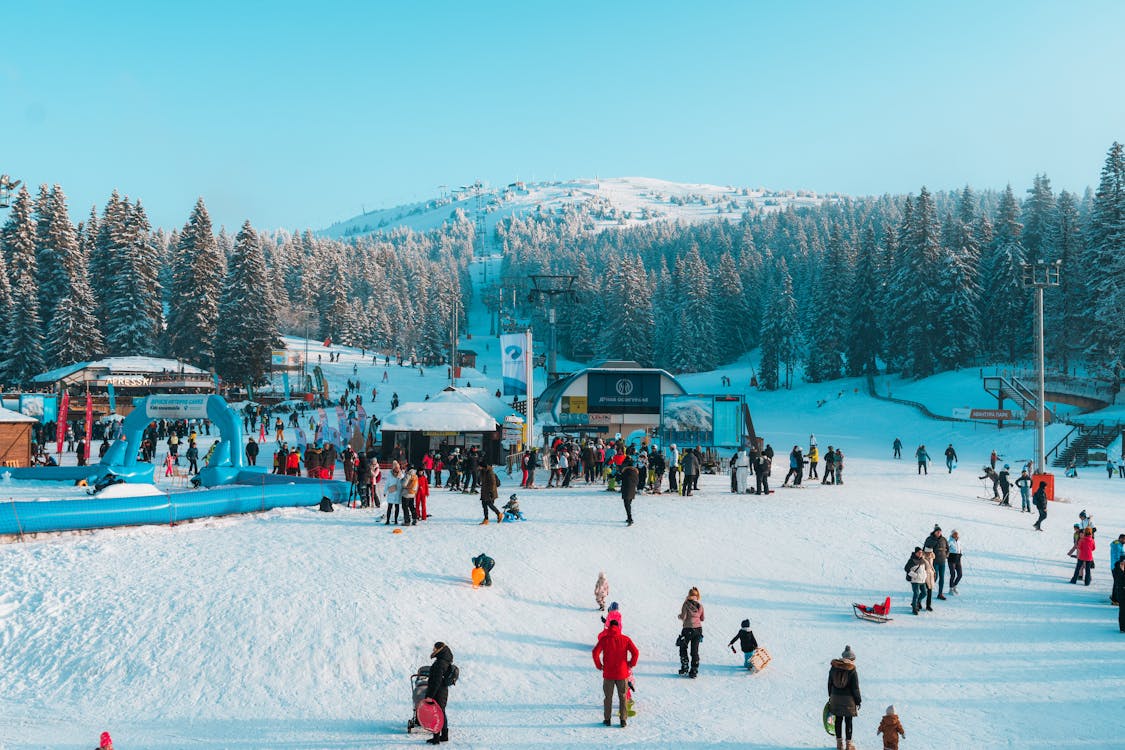 Kopaonik in Serbia: people are skiing on the slopes of a ski resort.