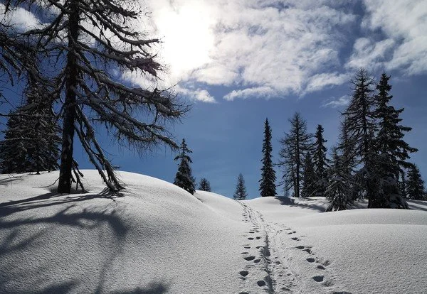 A charming chalet nestled in the stunning winter scenery in Fageralm – Forstau, Austria on a sunny day, offering a perfect setting for winter sports.