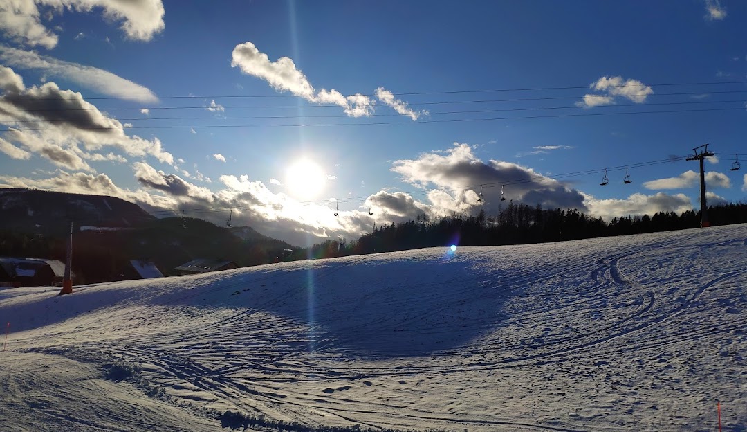 Winter sports scene in Annaberg, Lower Austria, featuring a snowy landscape under a sunny sky, a charming chalet nestled among the trees, and stunning natural beauty.
