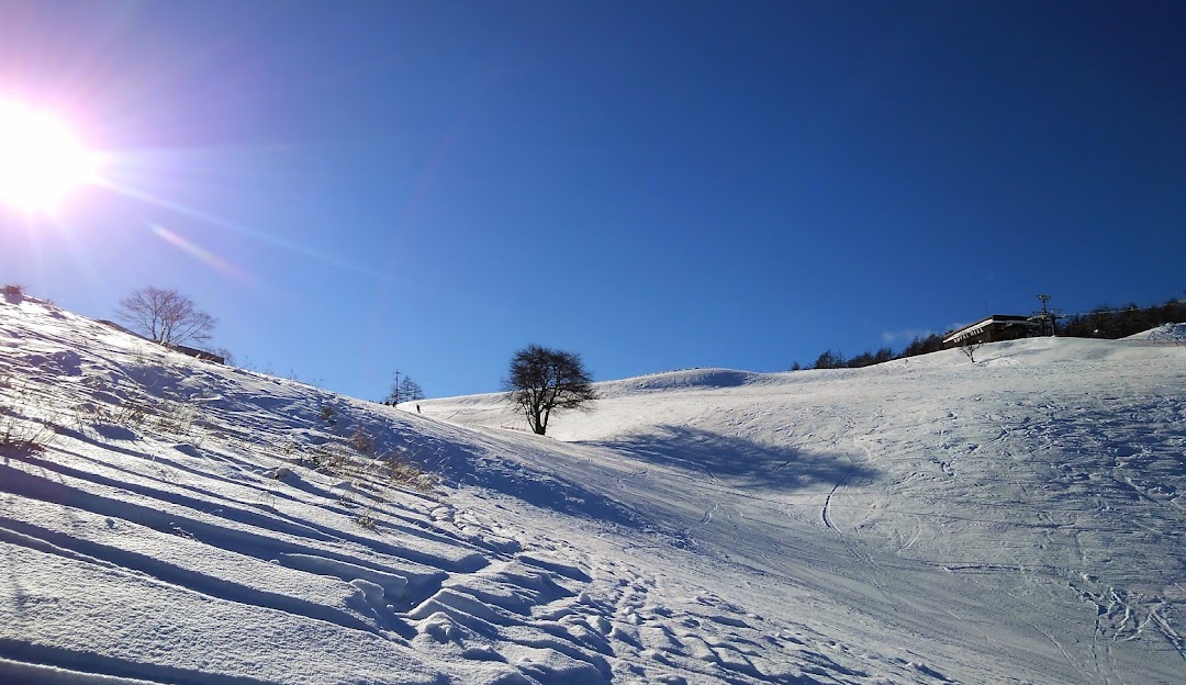 Winter sports scene at Shirakabako Royal Hill, Chūbu, Japan, featuring a chalet amidst stunning snow-covered landscape.