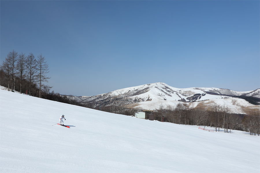 A skier glides down the powdery slopes at Shirakabako Royal Hill, a renowned ski resort in Nagano, Japan. Beyond the skier, a cozy chalet peeks through a snowy winter landscape.
