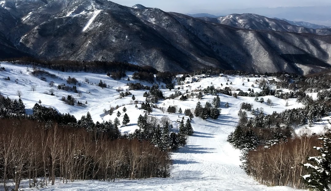 View of the Yamaboku ski resort in Nagano, Japan showing snow-covered slopes bustling with winter sports activities amidst a breathtaking winter landscape.