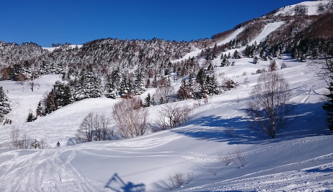 A stunning winter sports scene at Yamaboku – Yamada Bokujo in Japan, featuring a beautiful winter scenery, a charming chalet and a ski resort.