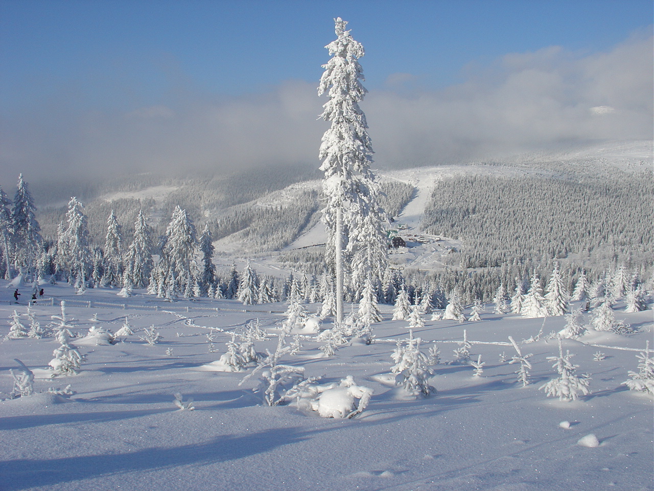 Bílá in Czech Republic - a person on a snowboard in the snow.