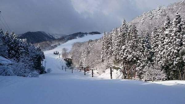 Winter wonderland in Manba, Japan featuring a picturesque chalet amidst snow-covered trees, a ski resort in the distance, and individuals enjoying winter sports activities.