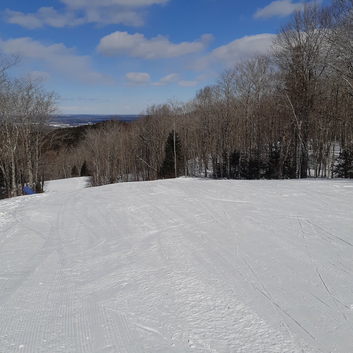 Wentworth in Canada - a snow covered ski slope with trees in the background.