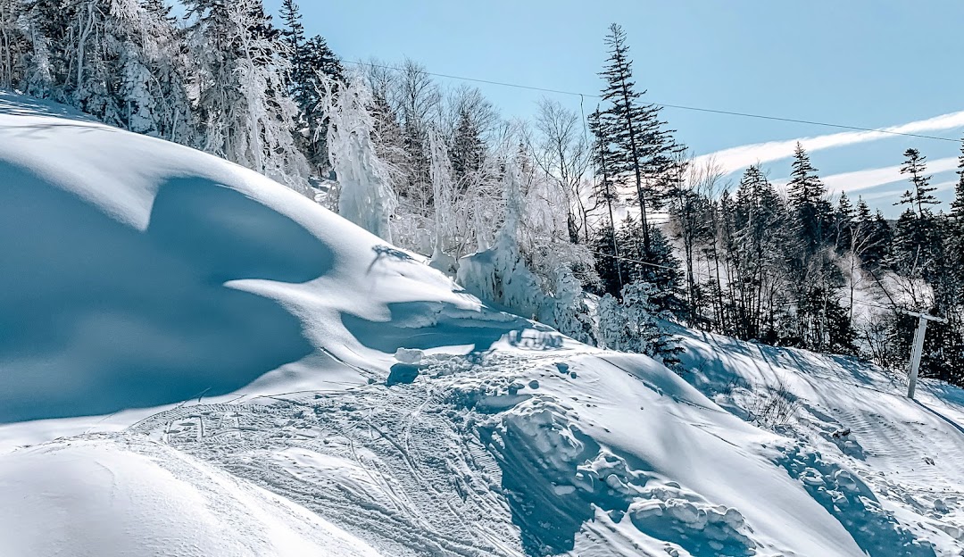 Wentworth in Canada - a snow covered ski slope with trees in the background.