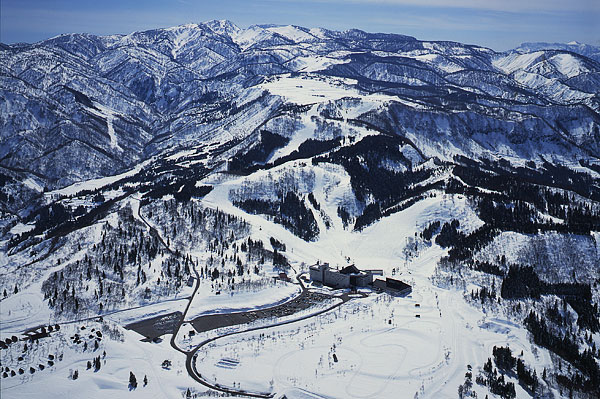 Skiers enjoying a bright day at the Greenpia Tsunan ski resort in Japan, surrounded by expansive, snow-covered slopes and a ski lift in the distance.