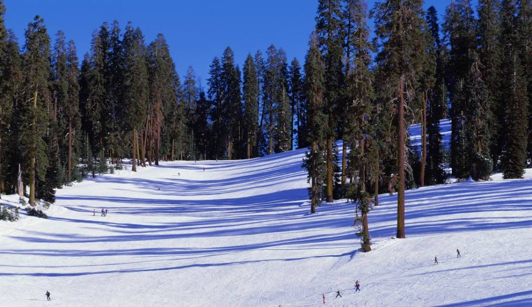 A winter sports scene at Badger Pass ski resort in Yosemite National Park USA. The image shows snow-covered slopes with a skier gliding down and a ski lift in view.
