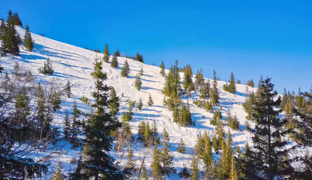 Winter scene at Winterpol White Jar Karpacz in Poland, featuring snow-covered slopes, a bustling ski resort, and beautiful snowy mountain scenery.