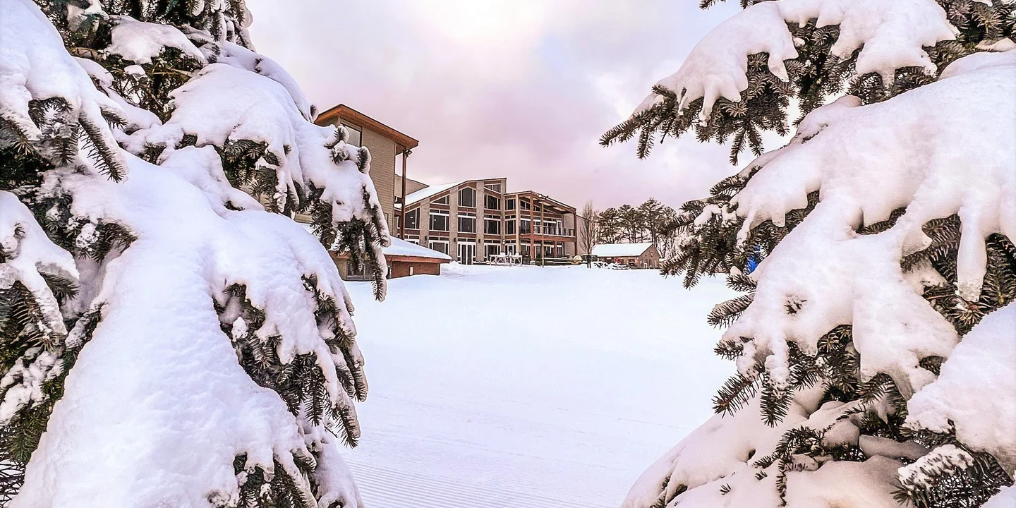 Big Bear at Masthope Mountain in USA - snow covered trees in front of a house.