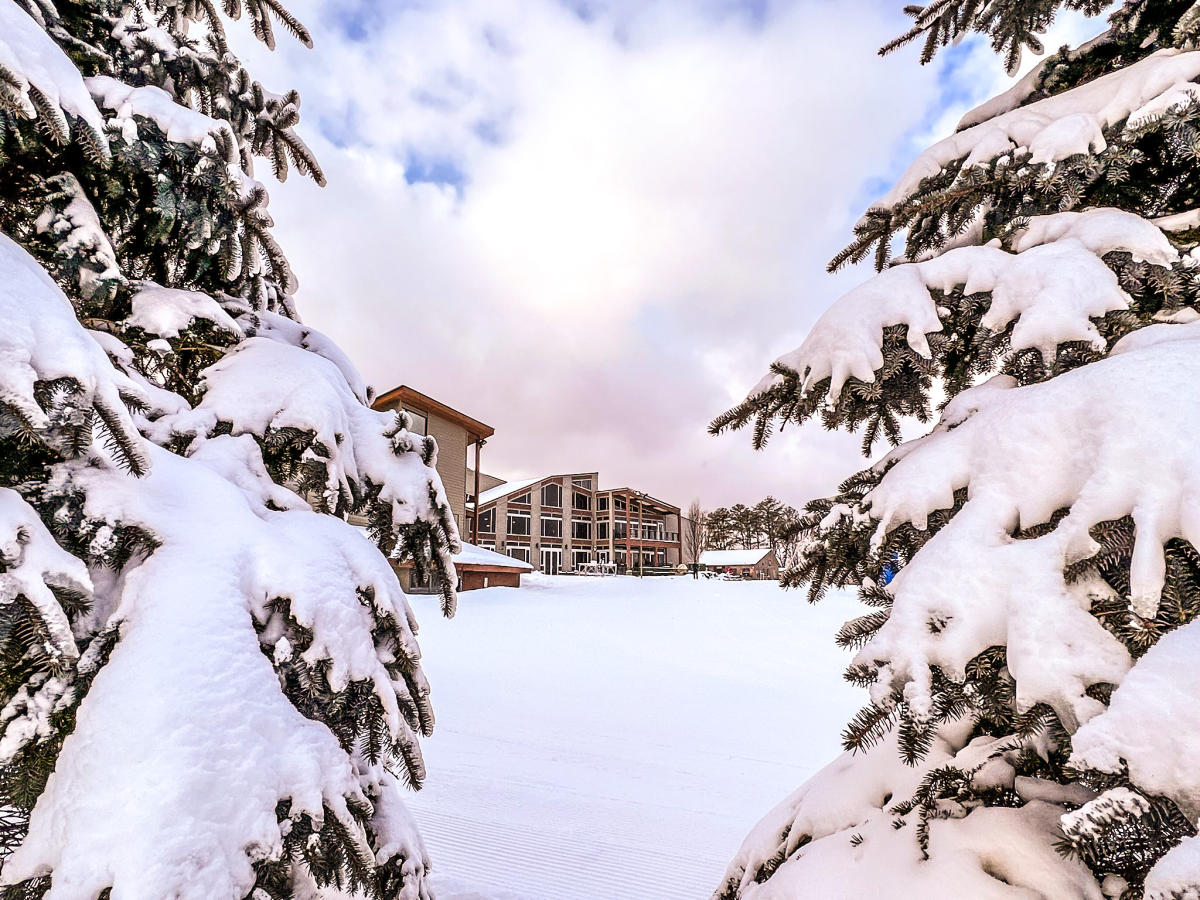 Big Bear at Masthope Mountain in USA: snow covered trees in front of a building.
