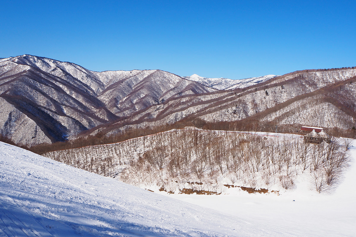 Oze Tokura in Japan - a person on a snowboard on a snowy slope.