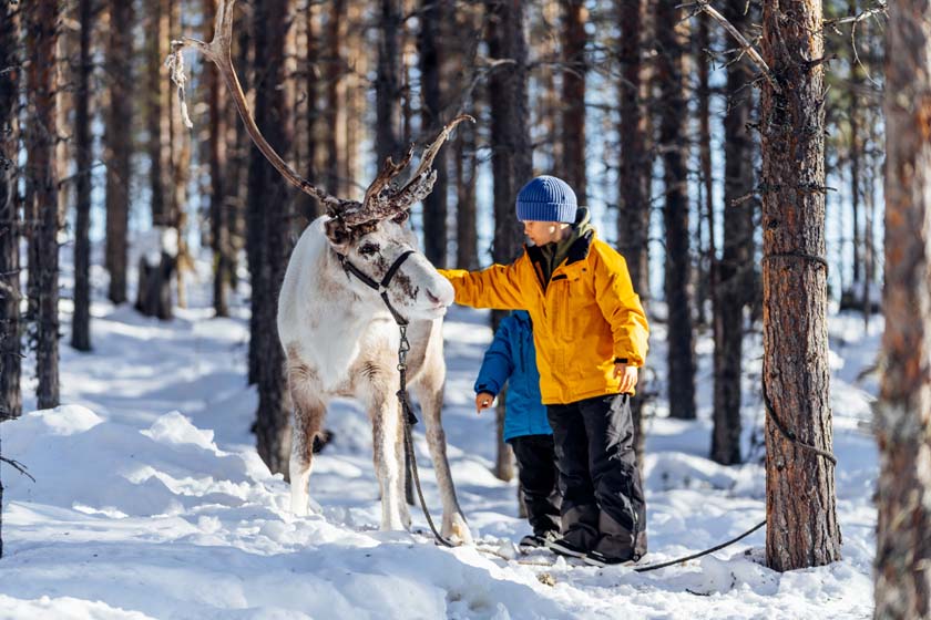Winter sports scene at Idre Himmelfjäll, Sweden, featuring a skier gliding down a snowy slope. A cozy chalet and stunning winter scenery provide the backdrop.