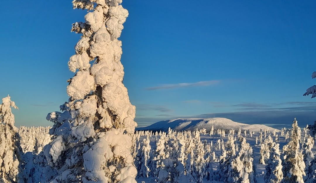Winter scene at Idre Himmelfjäll, Sweden, featuring a bustling winter sports scene at a ski resort, amidst stunning, snowy mountain scenery.