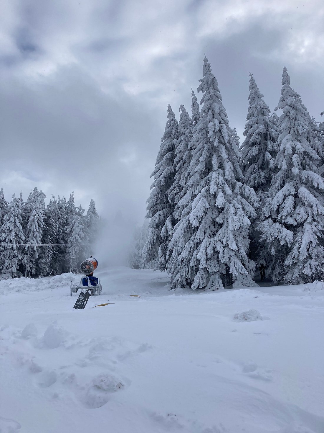 Winter sports scene at Telnice, Czech Republic, with a skier racing down a snowy mountain slope, against a backdrop of pristine winter scenery. A charming chalet can be seen in the background.