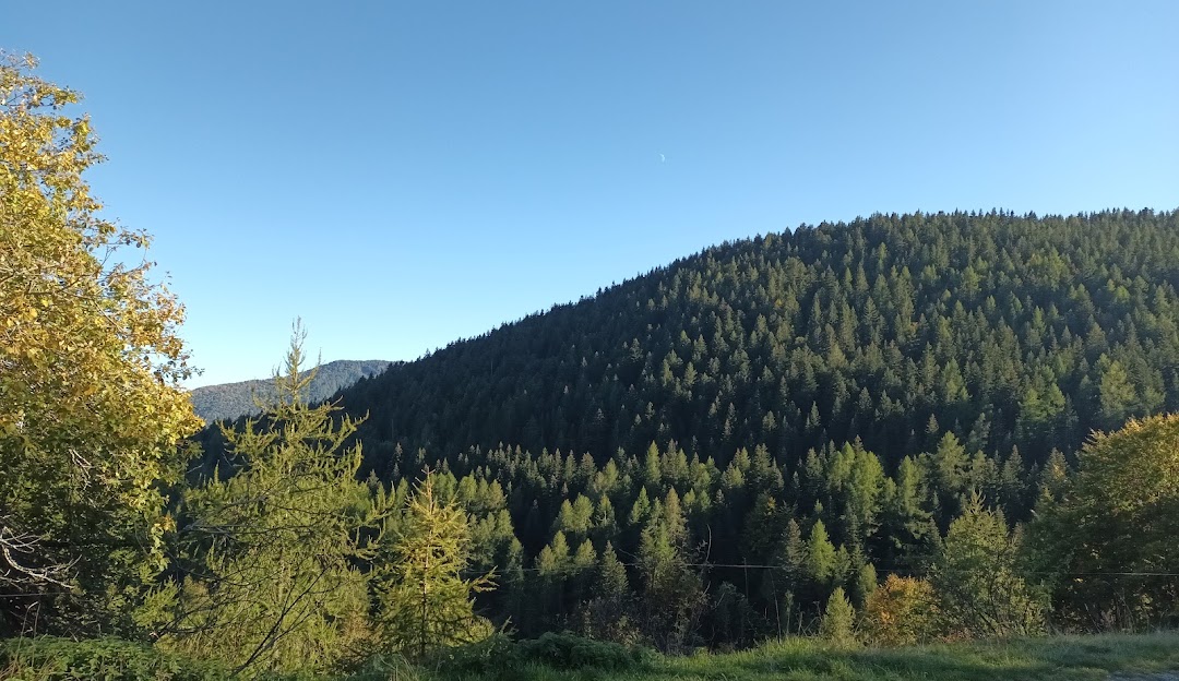 A scenic view at Monesi di Triora, featuring a beautiful mountain under a sunny sky, with a charming chalet nestled among a verdant forest, hinting at its use as a ski resort.