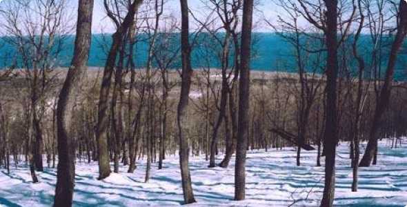 A tranquil winter scene at Porcupine Mountain Ontonagon Michigan featuring a challet amid a snowy landscape. Winter sports scene subtly indicates nearby activities. A forest of trees adds to the serene ambiance.