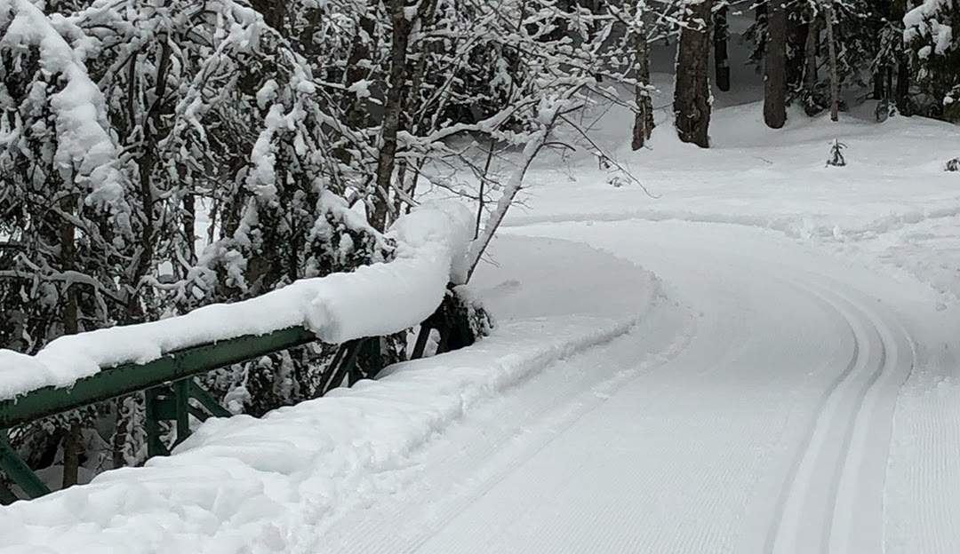 A snowmobile rests on the snow in Porcupine Mountain Michigan offering a hint of winter sports amidst the serene white landscape.