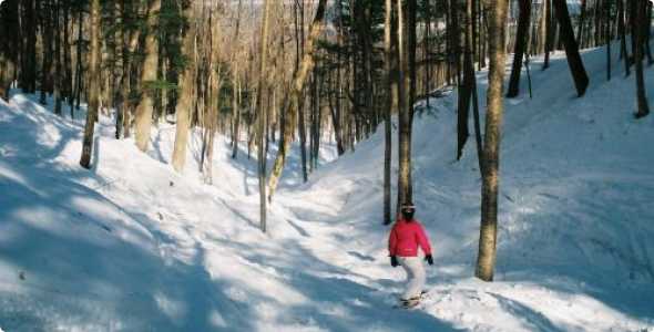 A skier gliding down a snowy slope at Porcupine Mountain in Ontonagon, Michigan, with a chalet and winter sports center in the background, showcasing a bustling ski resort scene.