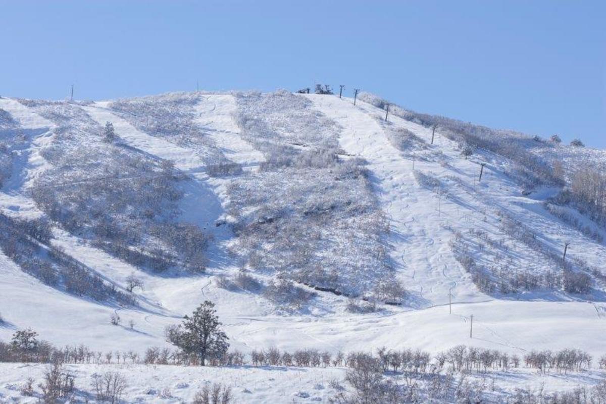 Hesperus Ski Area in USA - a snow covered mountain with trees in the fore.