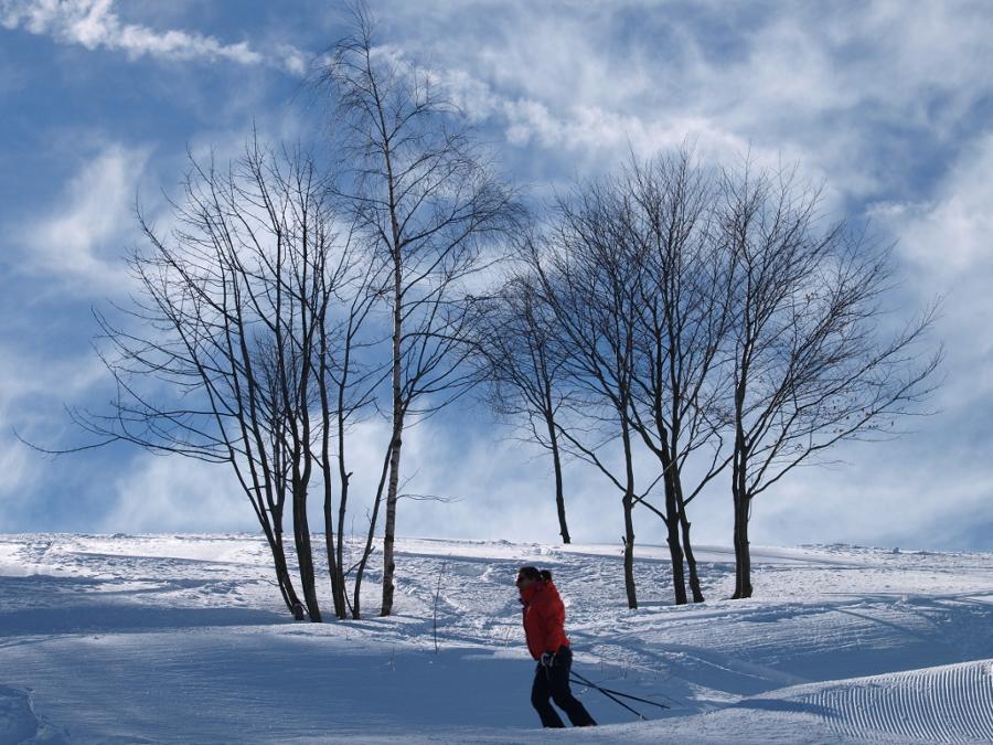 St.Gréé in Italy - a person skiing down a snowy slope with trees in the background.
