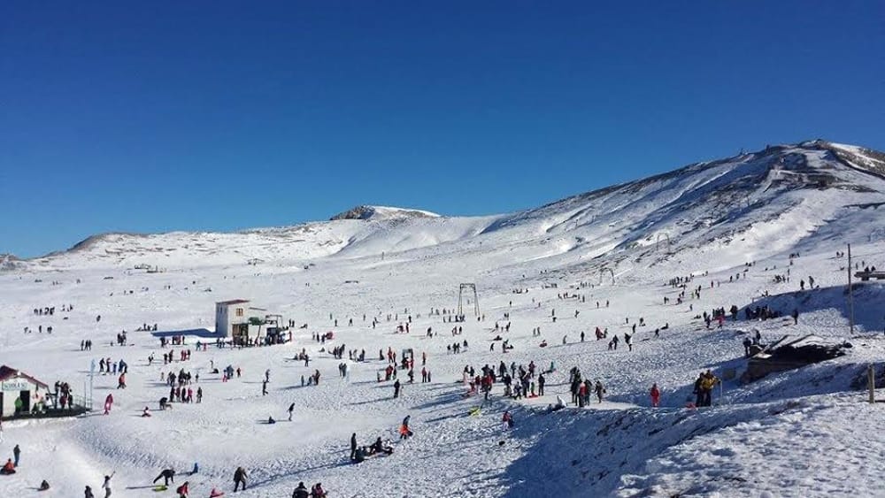 A vibrant winter sports scene at the Campocatino ski resort in Frosinone, Italy. Visitors enjoy snowy slopes and charming chalets in picturesque mountain surroundings.