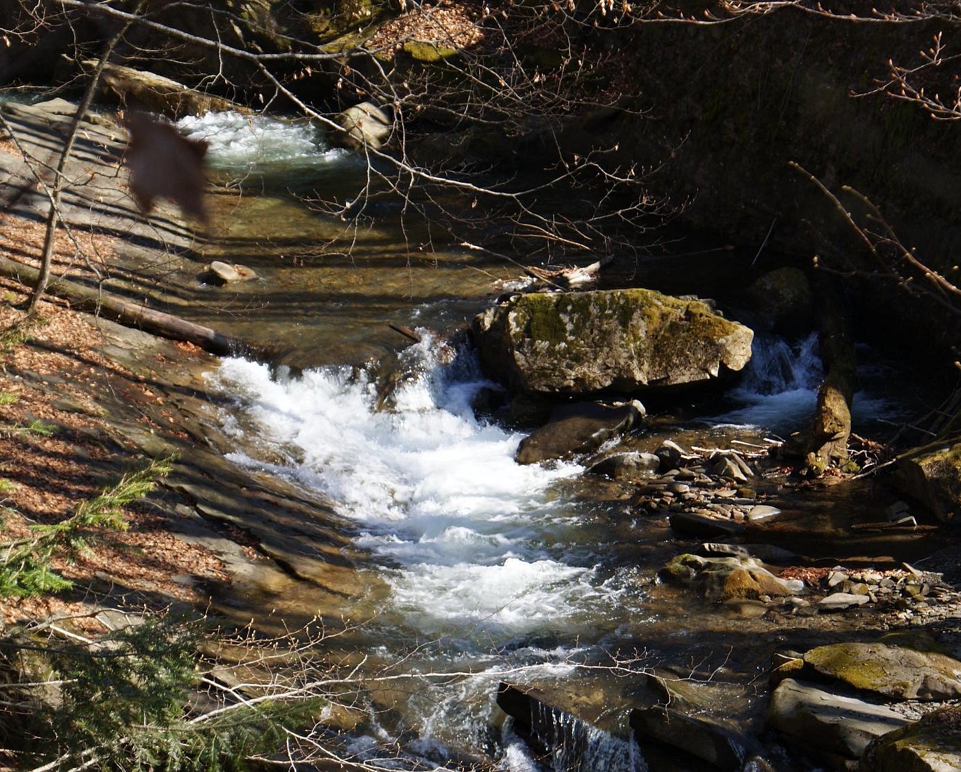 Krasiya in Ukraine - a stream in the woods.