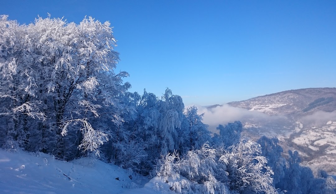 Winter scene in Krasiya, Vyshka, featuring a snow-covered landscape and chalet, typical of Zakarpattia Oblast, Ukraine's renowned winter sports region.